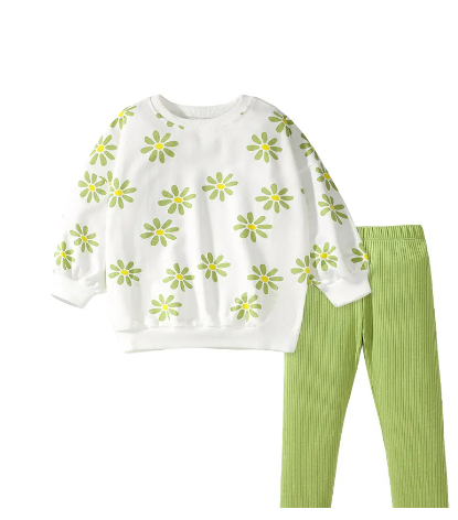 Olivia Daisy Toddler  Sweatshirt and pants Set